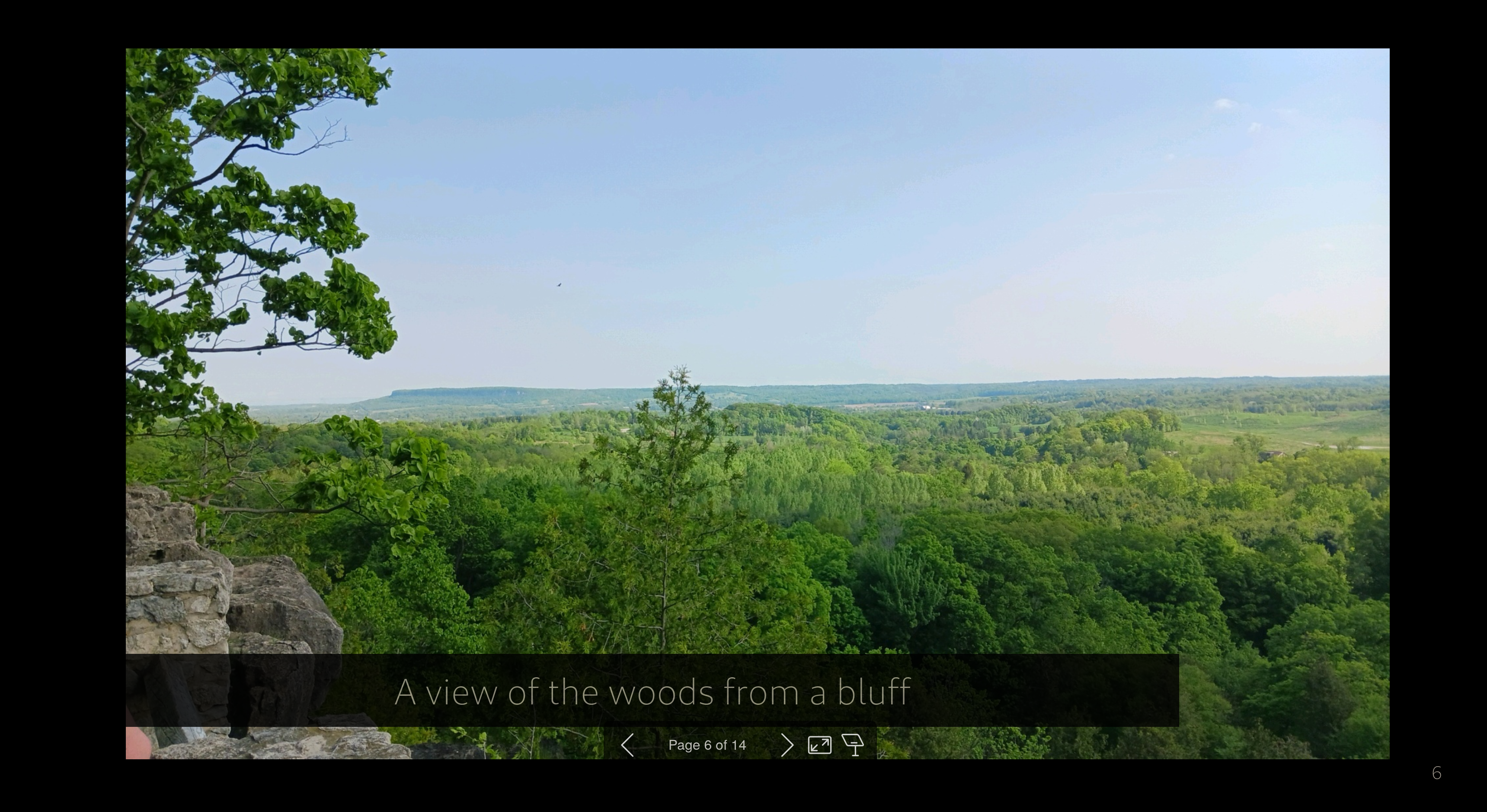 a screenshot of an example presentation slide. It's a picture of the woods on a black background.