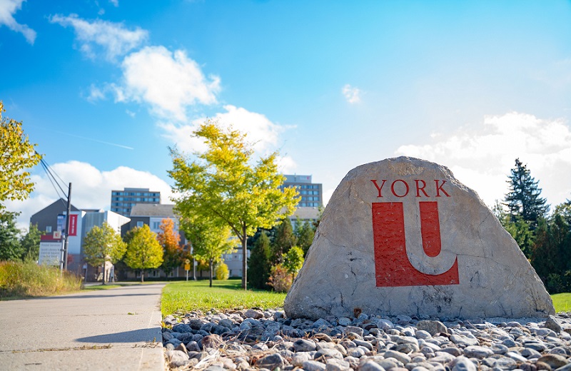York University logo on a rock among flowers